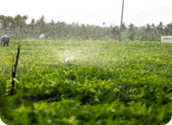 Irrigation & Open Channels